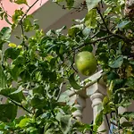 Andalusian Sun With Private Pool & Bbq - Eaw Homes * Marbella